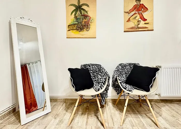 Spacieux Pour Un à * Strasbourg